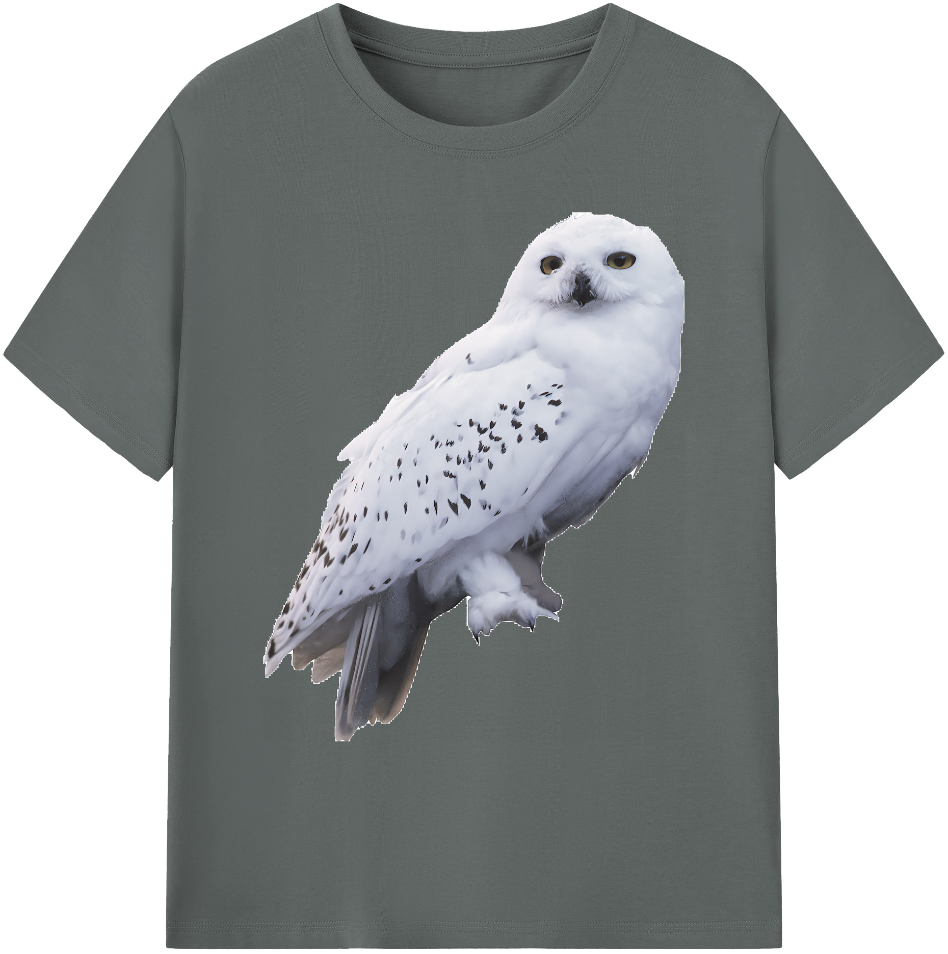 （画像用） Harry Potter ハリー・ポッターシリーズ 綿100％ メンズ半袖Tシャツ｜肌触りやわらか＆通気性